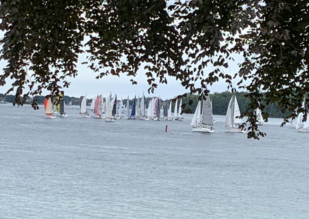 Silver Rudder 2021
