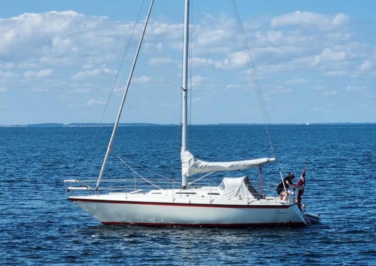 Granada 31