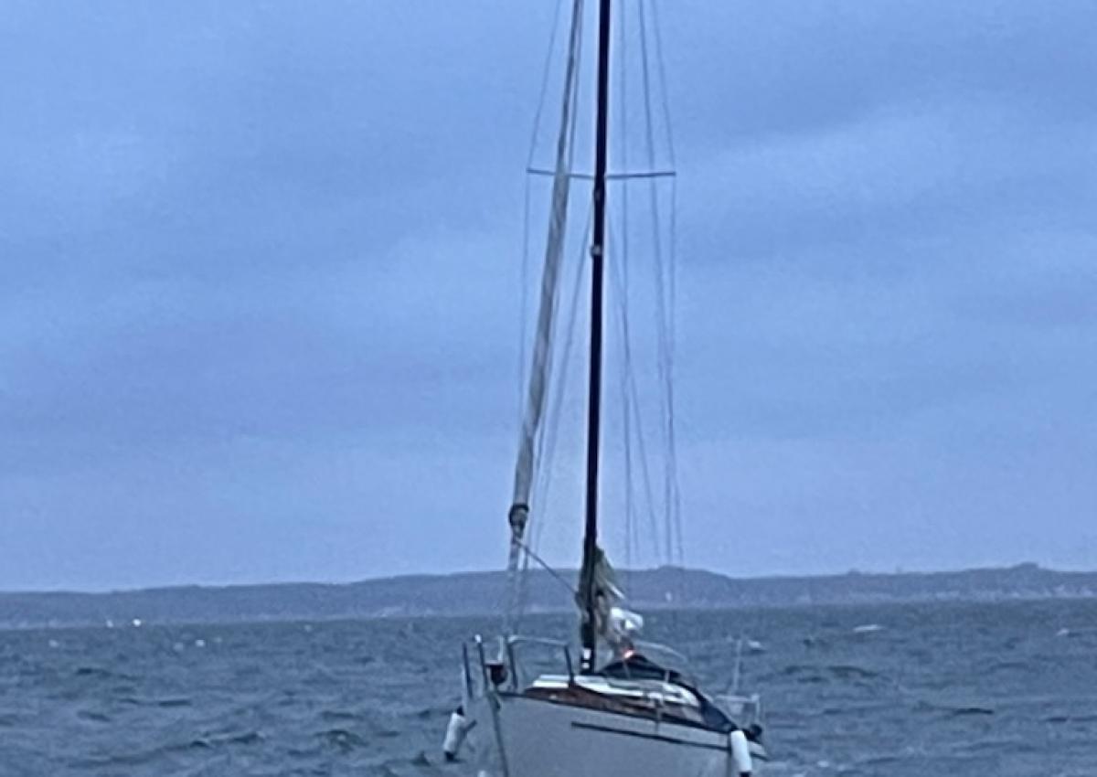 rorskade