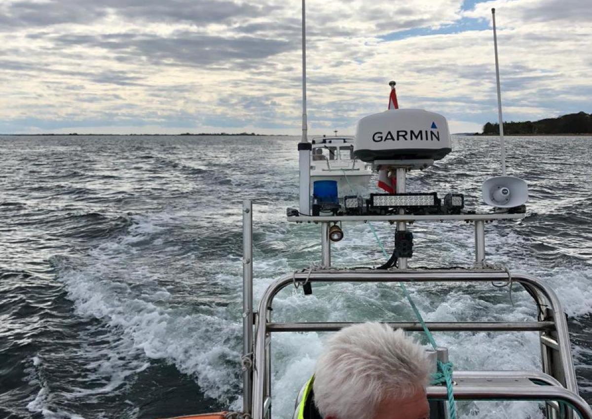 Haverist på snor