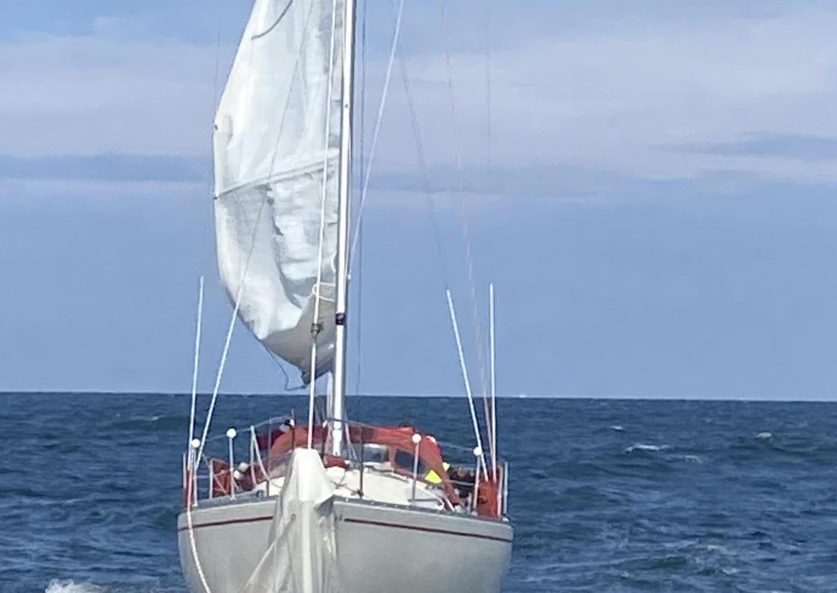 Genua under båd