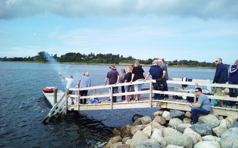 Åben havn i Frederiksværk