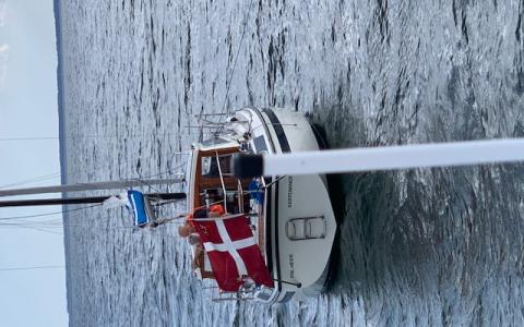 24 ft. motorbåd defekt motor
