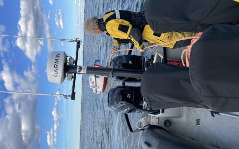 sejlbåd med motorstop
