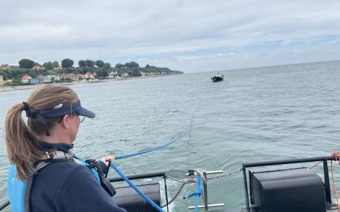 rescued motorsailor