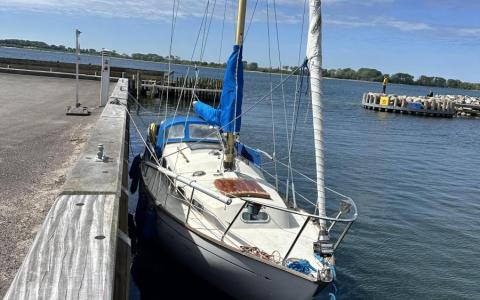 Bianca 27 Hårbølle