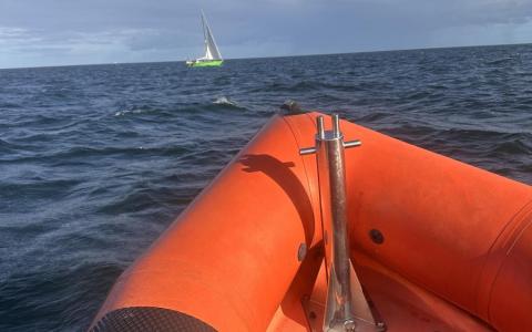 Sejlbåd med motorfejl og defektsejl, bugseret til Rødvig