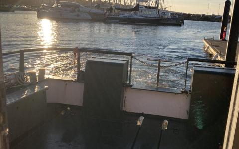 På vej hjem